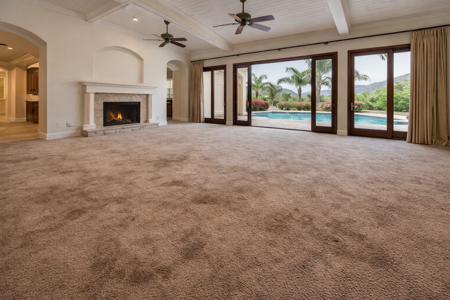 Carpet before cleaning